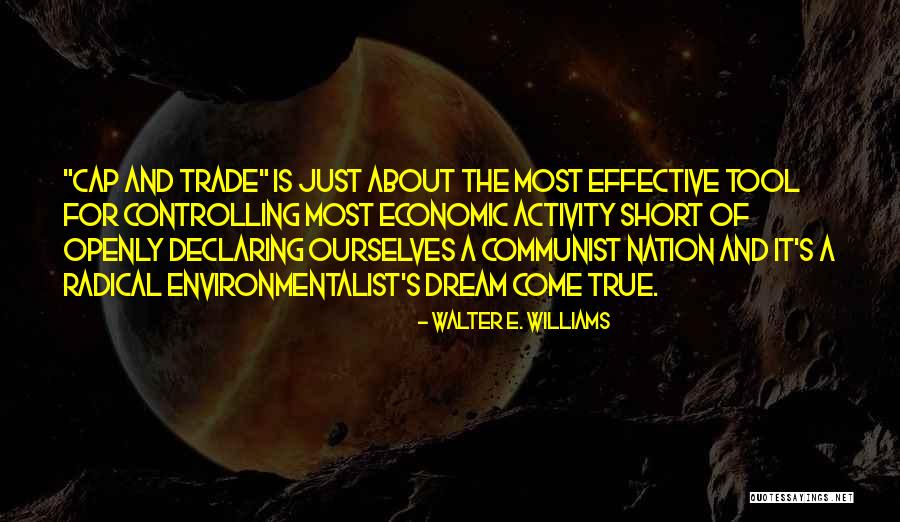 Best Environmentalist Quotes By Walter E. Williams