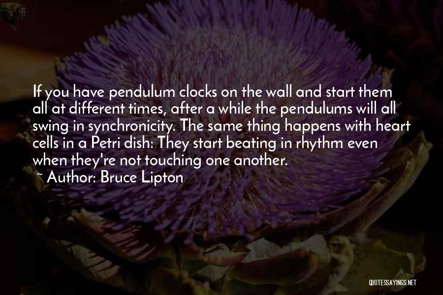 Best Ever Heart Touching Quotes By Bruce Lipton