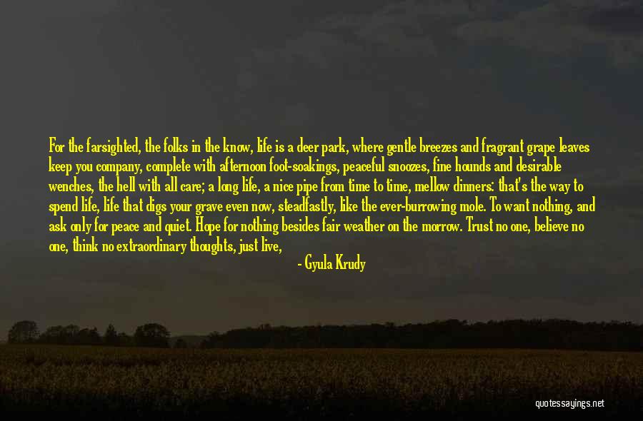 Best Ever Life Time Quotes By Gyula Krudy