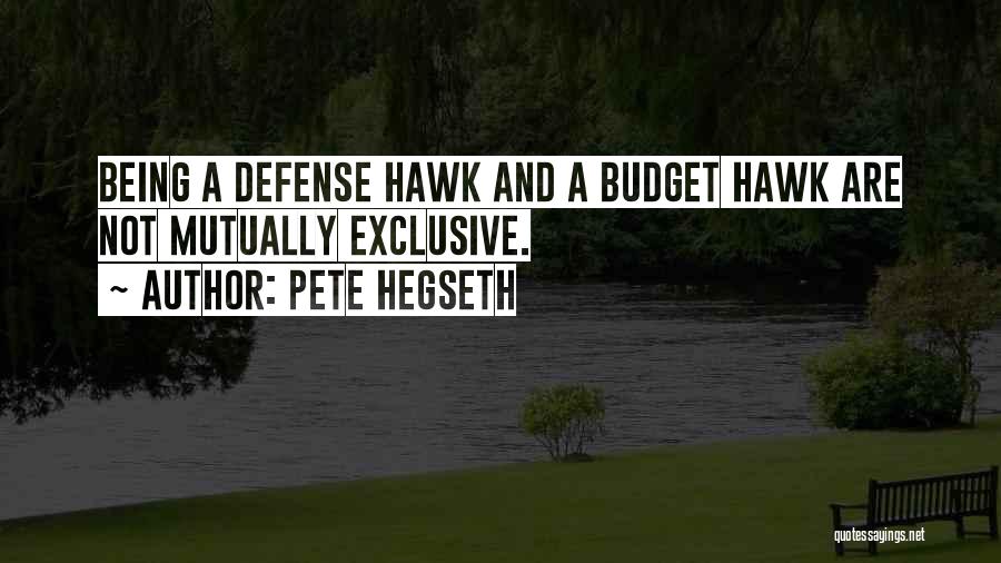 Best Exclusive Quotes By Pete Hegseth
