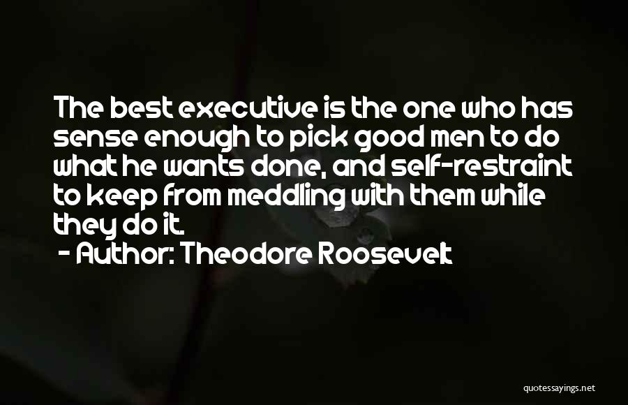 Best Executive Quotes By Theodore Roosevelt