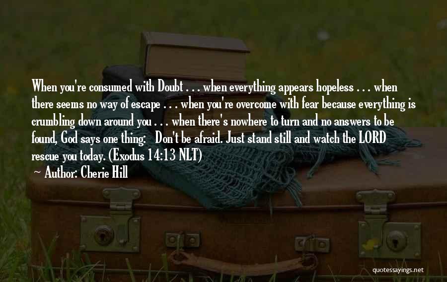 Best Exodus Quotes By Cherie Hill