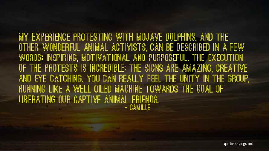 Best Eye Catching Quotes By Camille Best Eye Catching Quotes By Camille