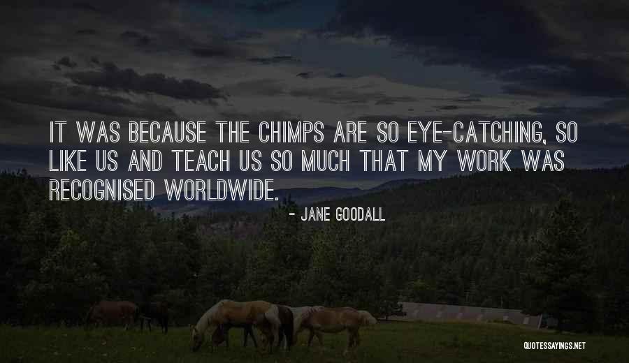 Best Eye Catching Quotes By Jane Goodall Best Eye Catching Quotes By Jane Goodall