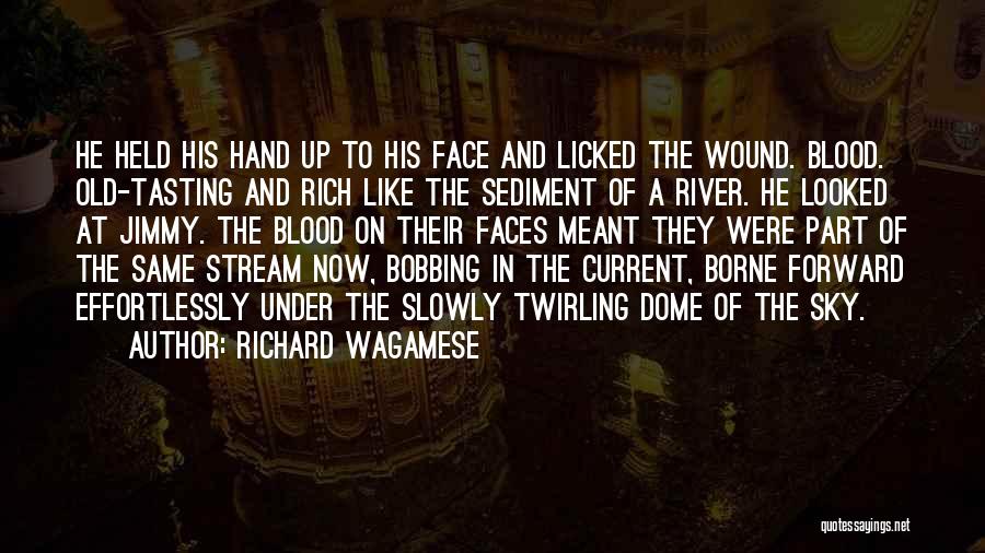Best Face Forward Quotes By Richard Wagamese