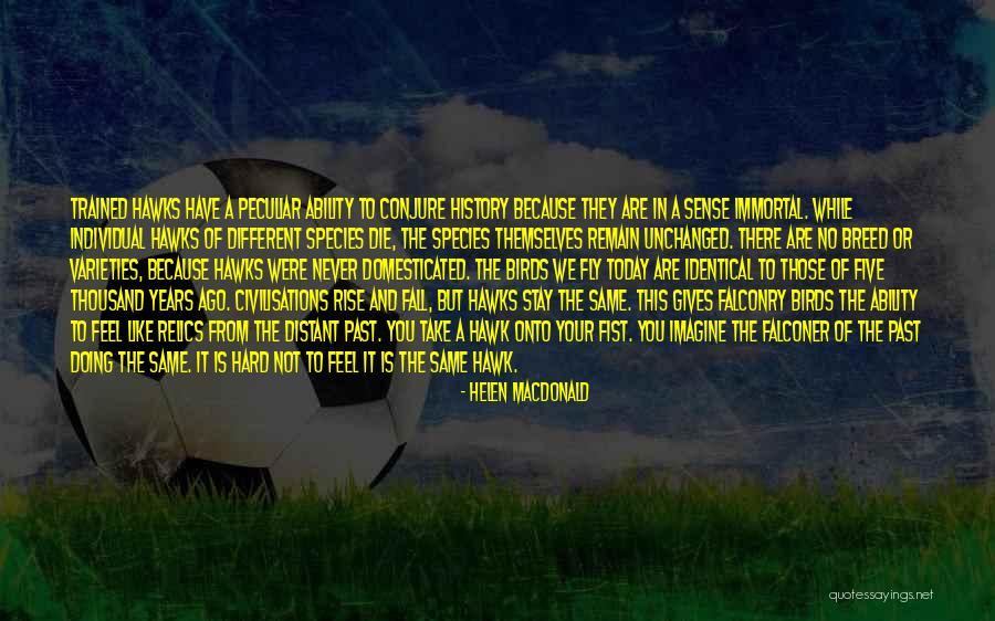 Best Falconry Quotes By Helen Macdonald Best Falconry Quotes By Helen Macdonald