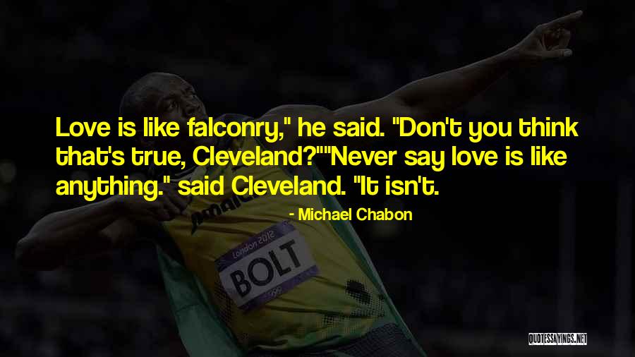 Best Falconry Quotes By Michael Chabon Best Falconry Quotes By Michael Chabon