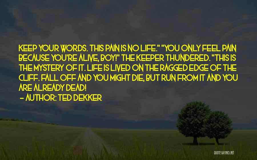Best Fall Out Boy Quotes By Ted Dekker