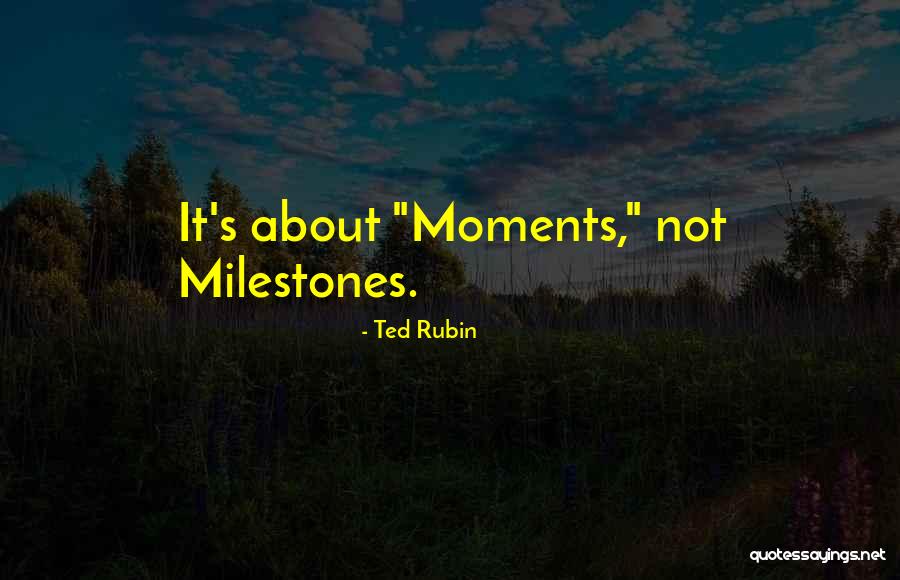 Best Family Moments Quotes By Ted Rubin