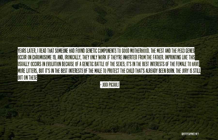 Best Female Quotes By Jodi Picoult Best Female Quotes By Jodi Picoult