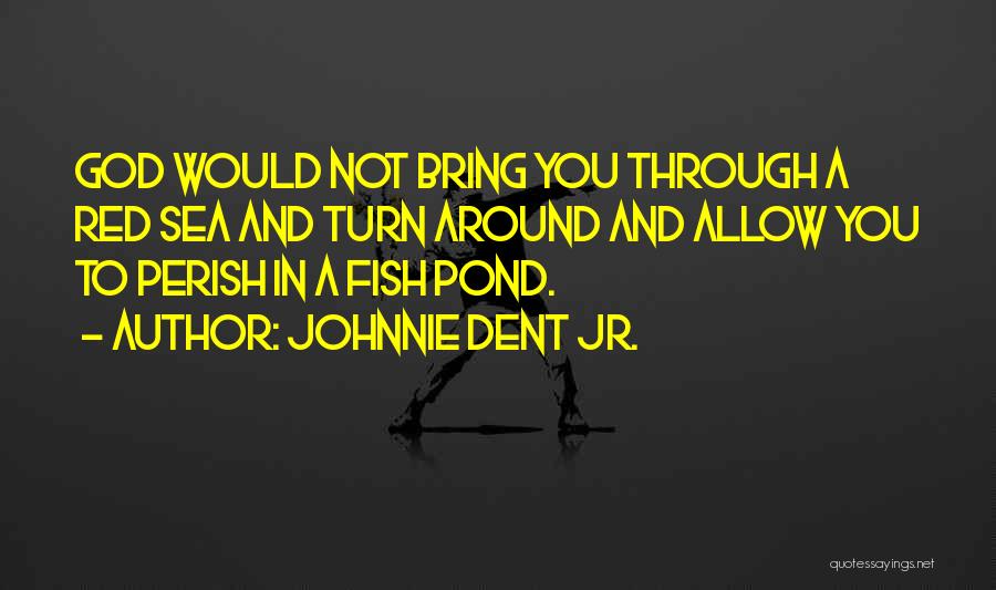 Best Fish Pond Quotes By Johnnie Dent Jr.