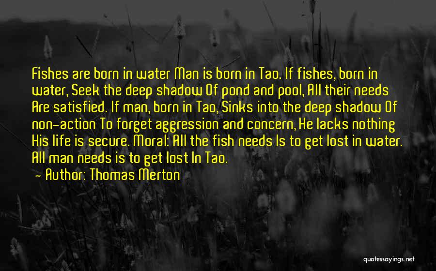 Best Fish Pond Quotes By Thomas Merton