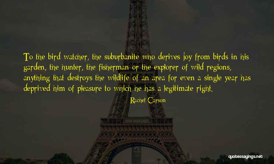 Best Fisherman Quotes By Rachel Carson Best Fisherman Quotes By Rachel Carson