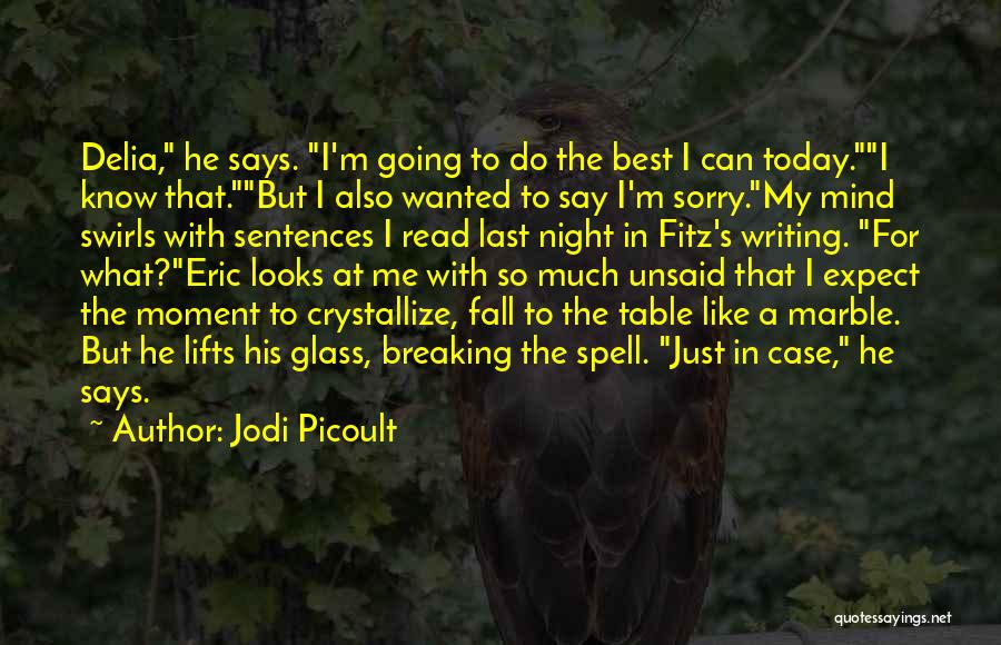 Best Fitz Quotes By Jodi Picoult