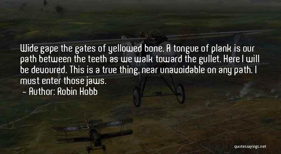 Best Fitz Quotes By Robin Hobb