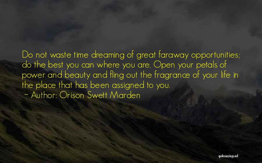Best Fling Quotes By Orison Swett Marden