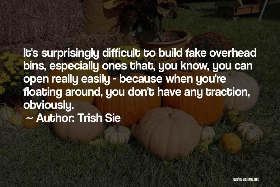 Best Floating Quotes By Trish Sie
