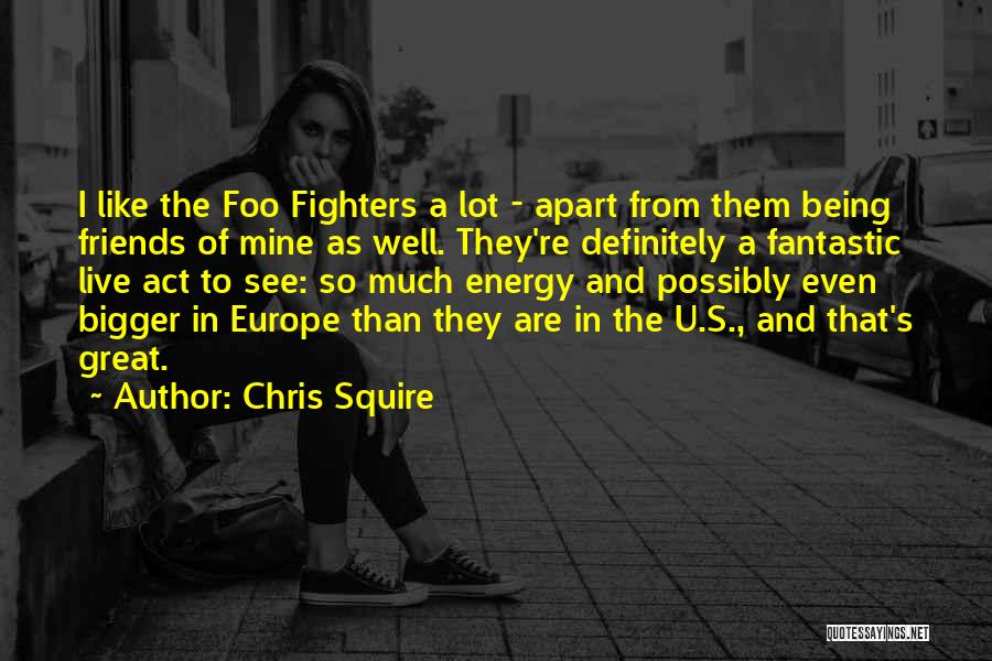 Best Foo Fighters Quotes By Chris Squire
