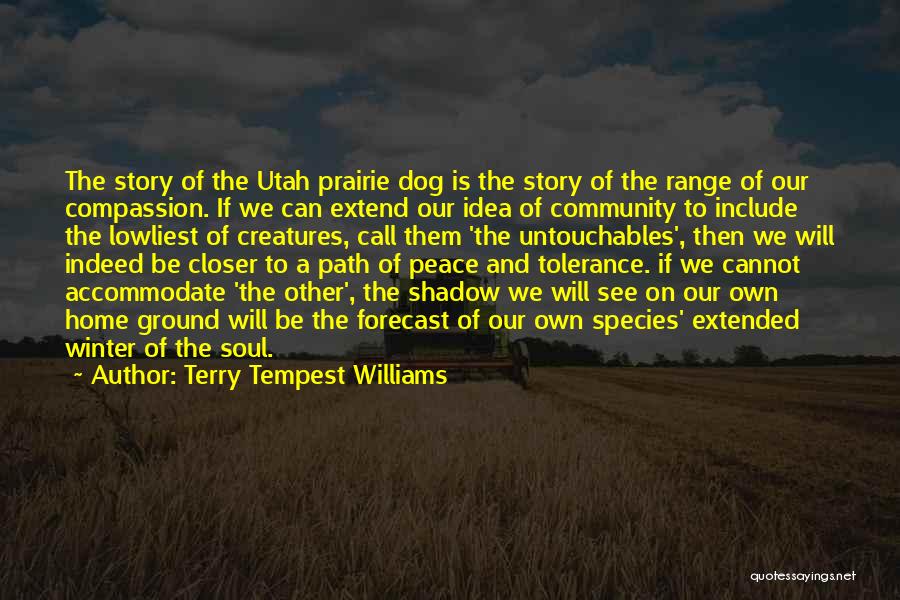 Best Forecast Quotes By Terry Tempest Williams