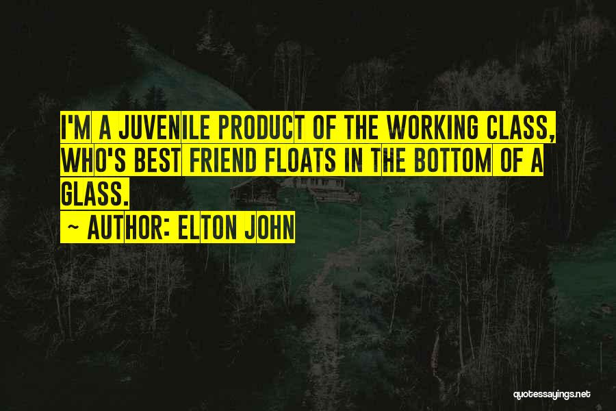 Best Friend Alcohol Quotes By Elton John
