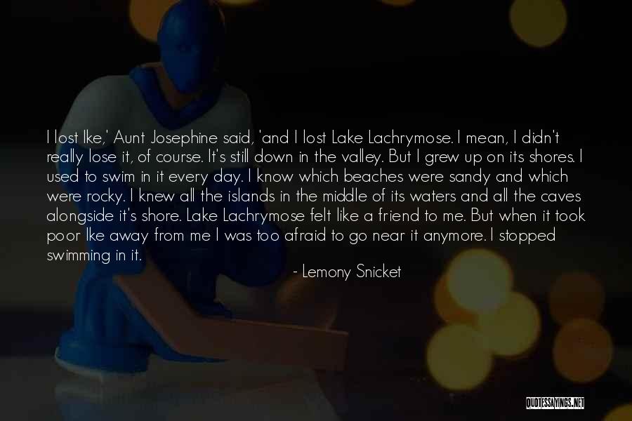 Best Friend Aunt Quotes By Lemony Snicket