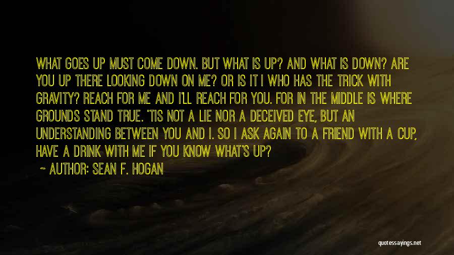 Best Friend Eye Quotes By Sean F. Hogan