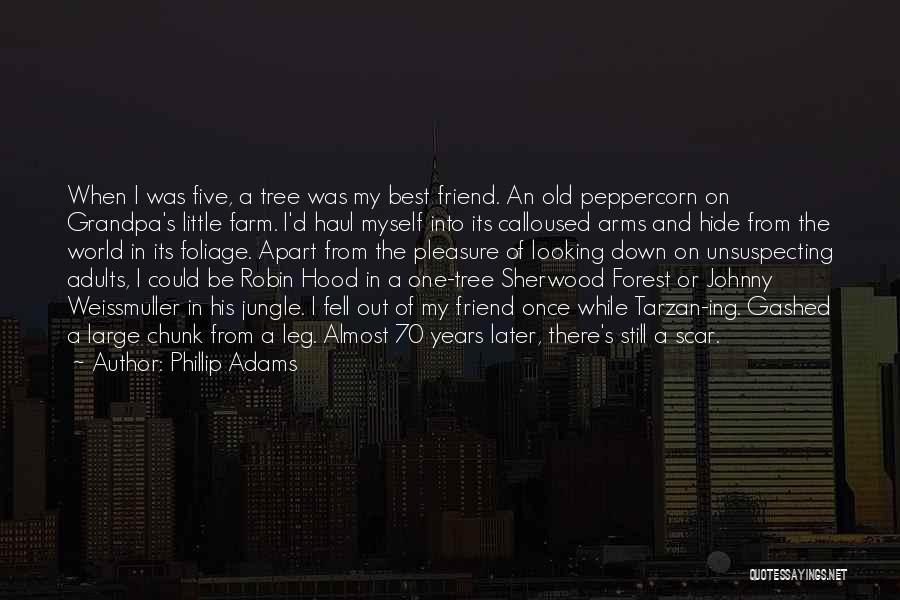 Best Friend Hood Quotes By Phillip Adams