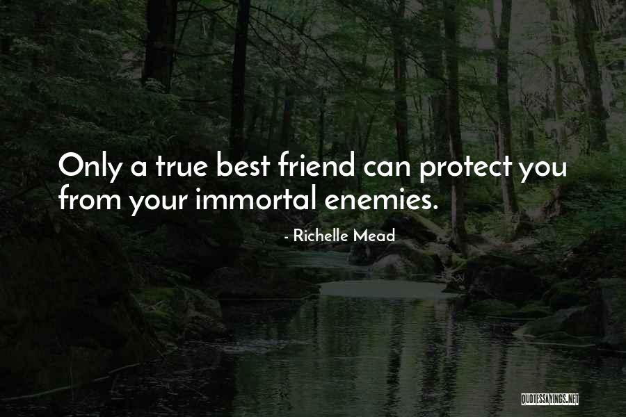 Best Friend Humor Quotes By Richelle Mead Best Friend Humor Quotes By Richelle Mead