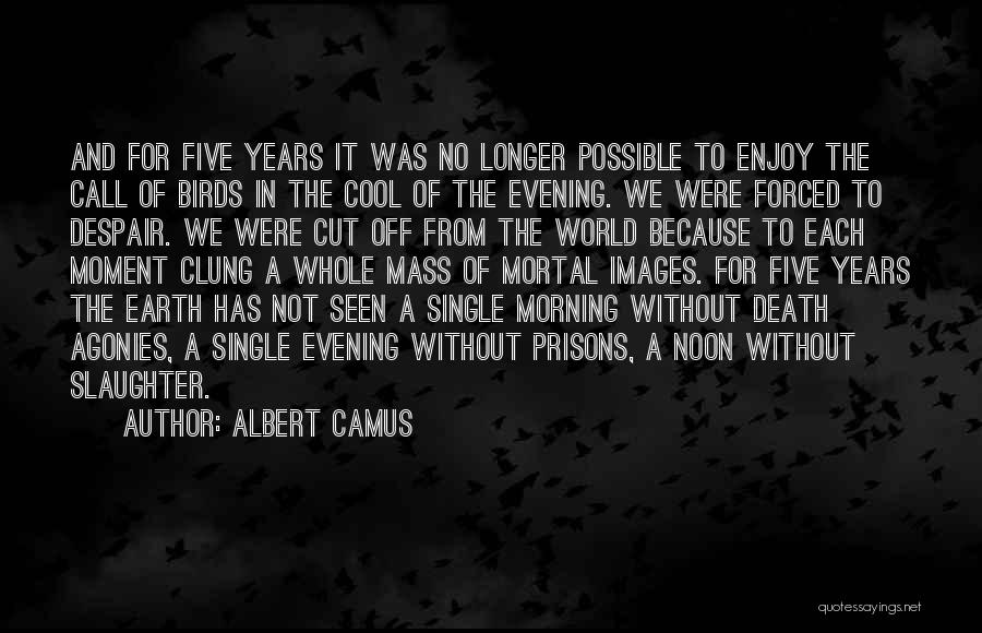 Best Friend Letters And Quotes By Albert Camus