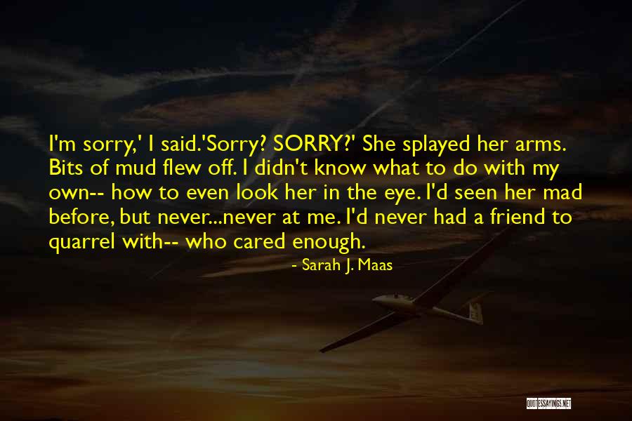 Best Friend Mad At Me Quotes By Sarah J. Maas