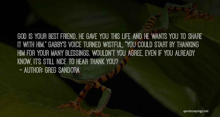 Best Friend Thank You Quotes By Greg Sandora