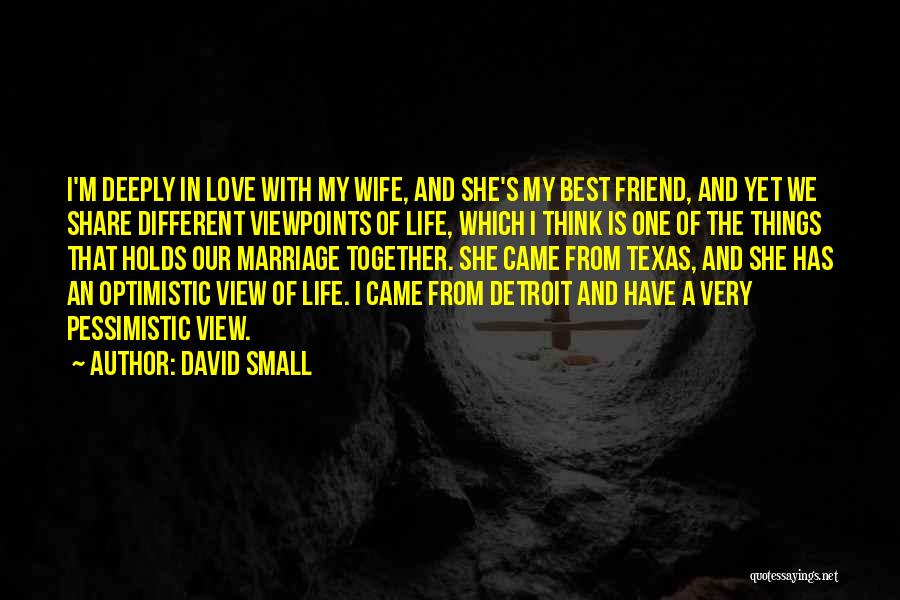 Best Friend Wife Quotes By David Small