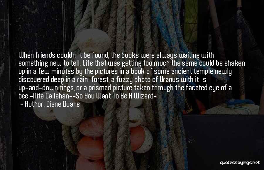 Best Friends And Rain Quotes By Diane Duane