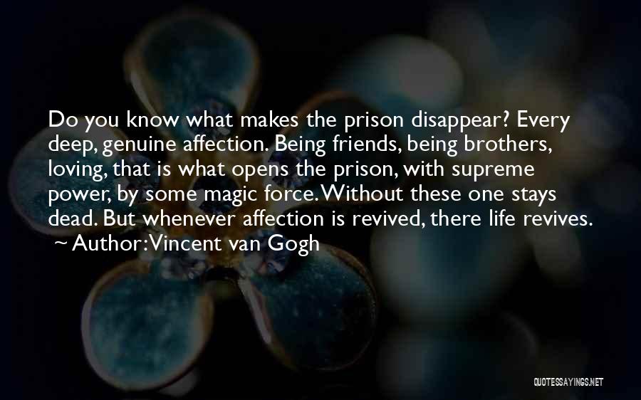 Best Friends Disappear Quotes By Vincent Van Gogh