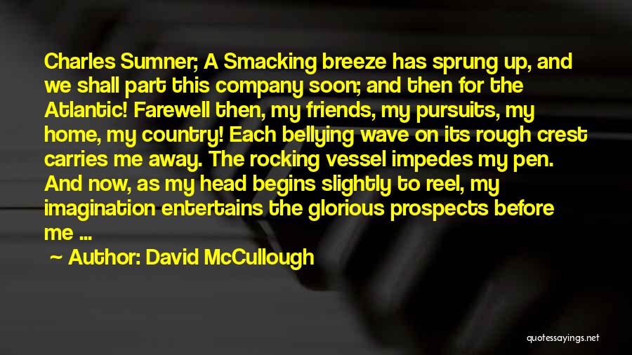 Best Friends Farewell Quotes By David McCullough