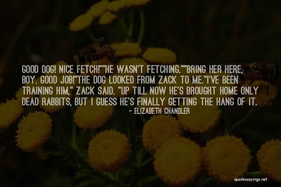 Best Funny Flirty Quotes By Elizabeth Chandler Best Funny Flirty Quotes By Elizabeth Chandler