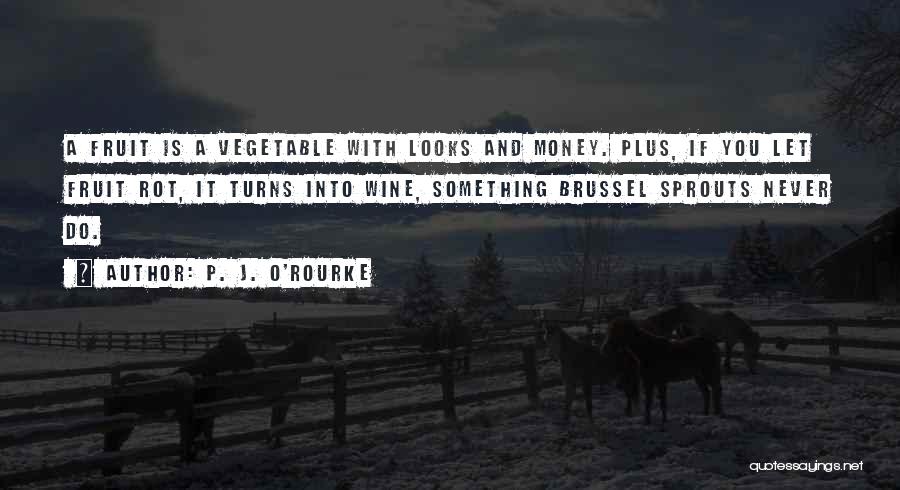 Best Funny Wine Quotes By P. J. O'Rourke