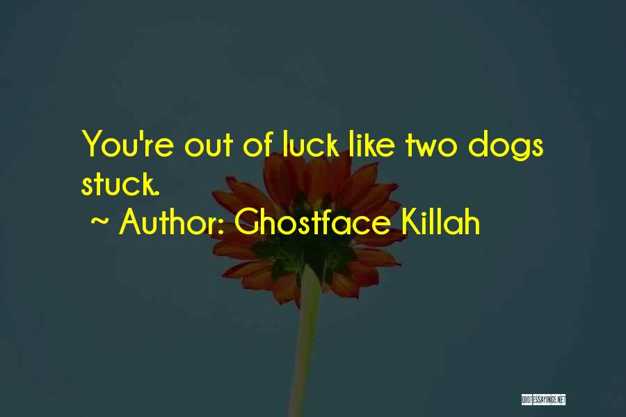 Best Ghostface Killah Quotes By Ghostface Killah