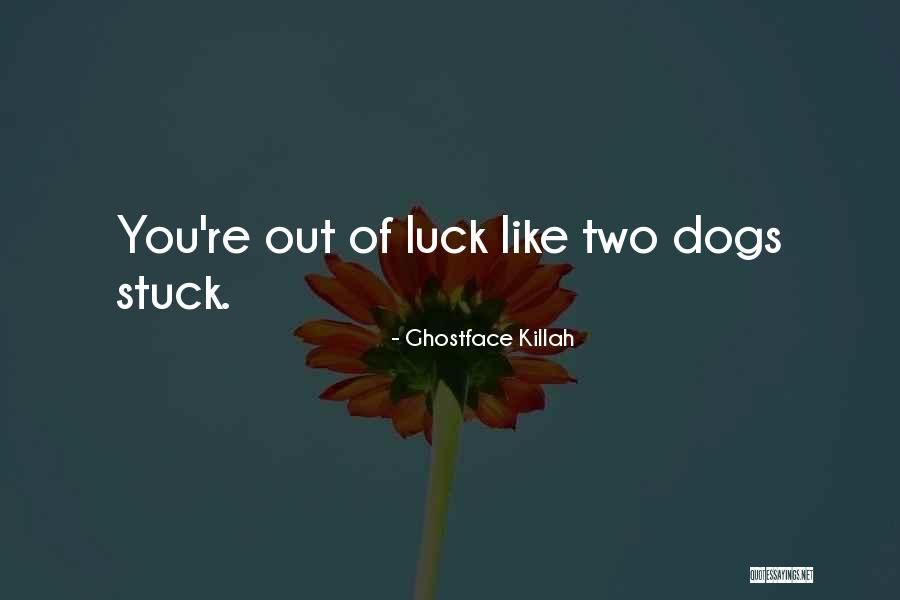 Best Ghostface Quotes By Ghostface Killah Best Ghostface Quotes By Ghostface Killah