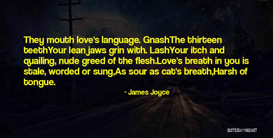 Best Gnash Quotes By James Joyce