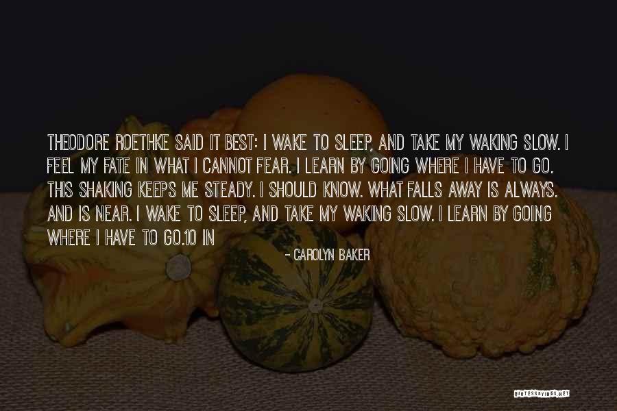 Best Go To Sleep Quotes By Carolyn Baker