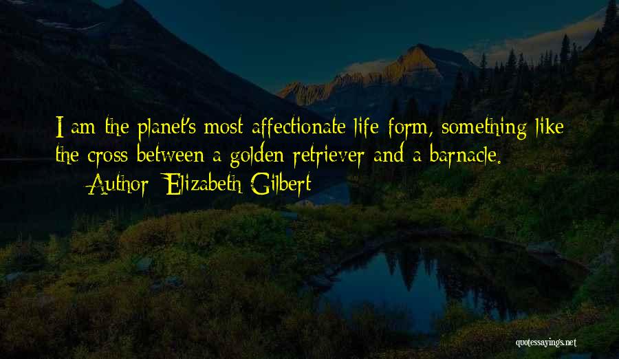 Best Golden Retriever Quotes By Elizabeth Gilbert