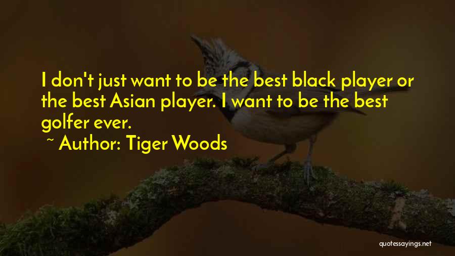 Best Golfer Quotes By Tiger Woods