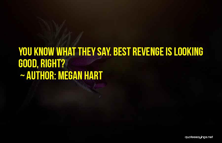 Best Good Looking Quotes By Megan Hart