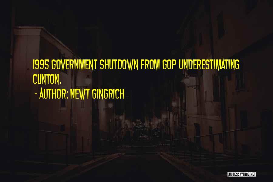 Best Government Shutdown Quotes By Newt Gingrich