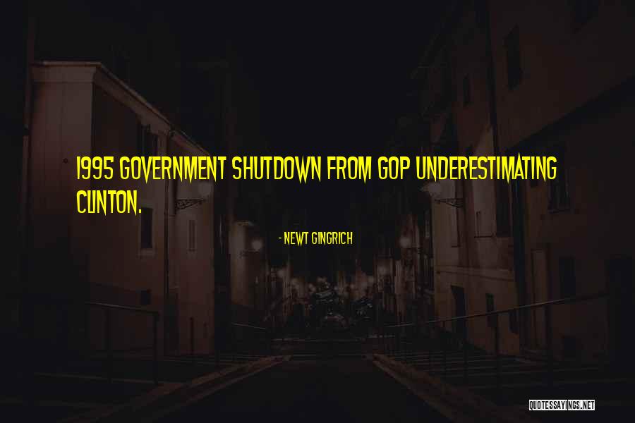 Best Government Shutdown Quotes By Newt Gingrich