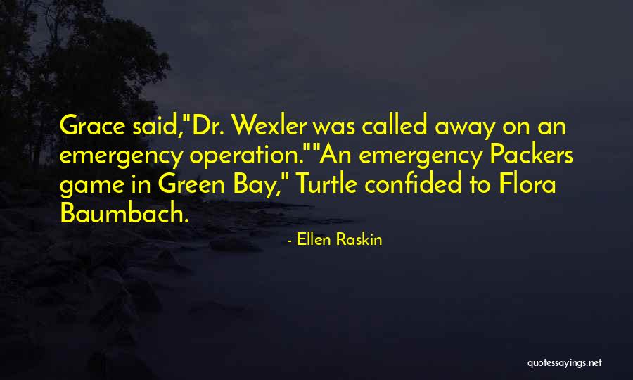Best Green Bay Packers Quotes By Ellen Raskin Best Green Bay Packers Quotes By Ellen Raskin