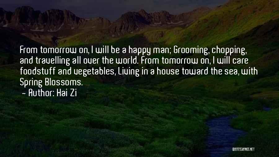 Best Grooming Quotes By Hai Zi