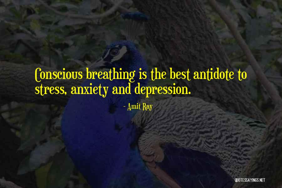 Best Happiness Quotes By Amit Ray