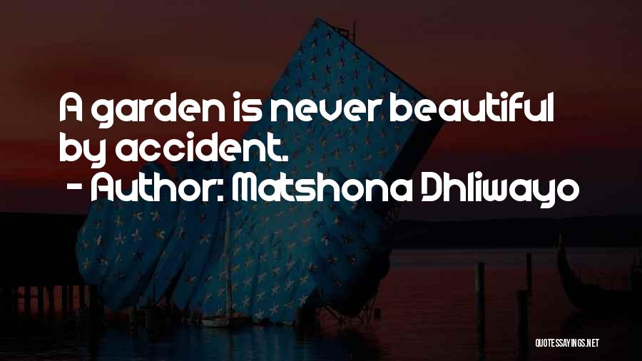 Best Hard Work Motivational Quotes By Matshona Dhliwayo